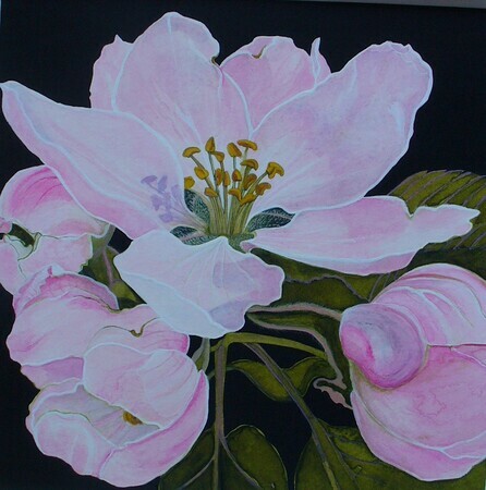 Apple Blossoms  SOLD