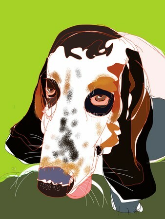 DUCOTE; Bassett, limited edition digital painting #1 SOLD