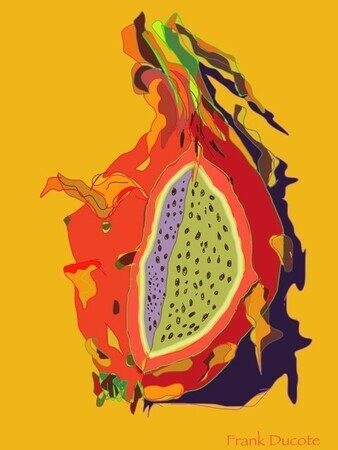DUCOTE; Dragon Fruit ; digital painting SOLD additional prints available