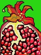 DUCOTE; Pomegranate; digital painting SOLD additional prints available