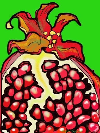 DUCOTE; Pomegranate; digital painting SOLD additional prints available