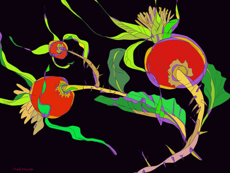 DUCOTE; Rosehips  ; digital painting SOLD additional prints available