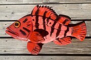 DUCOTE; Tiger Rockfish, painted wood SOLD