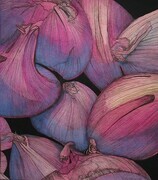 TAYLOR; Shallots (Honourable Mention awarded in Sidney Fine Arts Show October 2014) SOLD