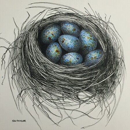 TAYLOR; A Nest for Karen, ink and watercolour on paper Private Collection
