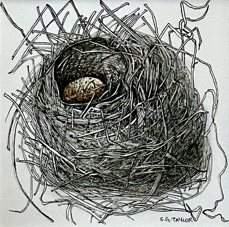 TAYLOR, A Nest for One, ink and watercolour, 4.5 x 4.5 accepted by jury for FCA Small Show, September 2025, available through Federation of Canadian Artists