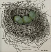 TAYLOR, A Nest for Three, ink and watercolour, 4.5" x 4.5", framed 10" x 10"