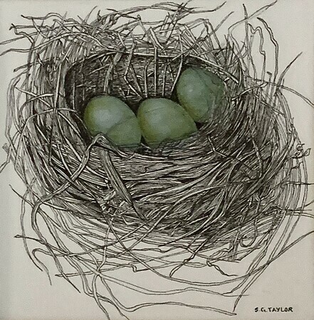 TAYLOR, A Nest for Three, ink and watercolour, 4.5" x 4.5", framed 10" x 10"