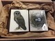 TAYLOR; A Pending Parliament of Owls; ink drawing on paper mounted on wooden cradles, finished with resin; diptych; 4" x 6" SOLD