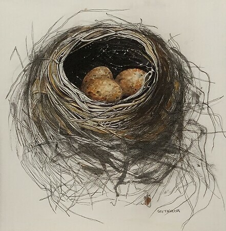 TAYLOR, a nest for a very stormy time, ink, w/c on paper, framed 10" x 10" available