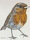 TAYLOR An English Robin, ink and watercolour SOLD at Steveston Museum Exhibit December 2021