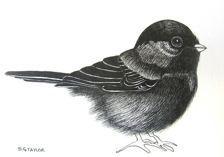 TAYLOR; Chickadee; ink drawing on paper mounted on wooden cradle, finished with resin; 3x4"; SOLD