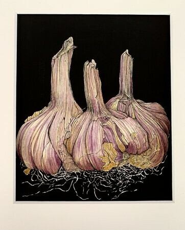 TAYLOR: Harvesting Garlic, ink, w/c and gouache on paper SOLD