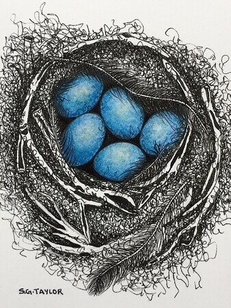 TAYLOR; ; Hers Was a Downy Nest; ink drawing on paper mounted on wooden cradle, finished with resin; 4" x 3" SOLD