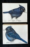 TAYLOR; Jay I and Jay II; ink drawings on paper, stained, mounted on wooden cradles, finished with resin; 3"x4" Jay I SOLD; JAY II SOLD