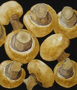 TAYLOR; Little Brown Mushrooms SOLD