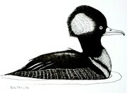 TAYLOR; Merganser; ink drawing on paper mounted on wooden cradle, finished with resin; 3x4"; SOLD