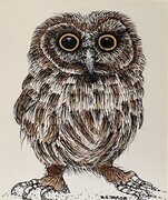 TAYLOR,Saw whet Owl, ink and watercolour, SOLD