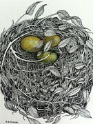 TAYLOR; Small Nest #11; ink drawing on paper, mounted on cradle, finished with resin, 4"x3" SOLD at Sooke Fine Arts Show opening July 24, 2015