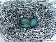 TAYLOR; ; Small Nest #20; She Built Her Nest in a Newsworthy Place; ink drawing on paper mounted on wooden cradle, finished with resin; 3"x4" SOLD