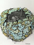 TAYLOR; Small Nest #2; A Hummingbird's Art; ink drawing on paper with w/c, mounted on wooden cradle, finished with resin; 4"x3"SOLD