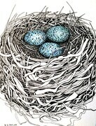 TAYLOR; Small Nest #7:It Was her First Nest; ink drawing on paper, mounted on cradle, finished with resin, 4"x3" SOLD