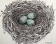 TAYLOR; Small Nest #8: A Lesson in Oology; ink drawing on paper, mounted on cradle, finished with resin, 3"x4" SOLD