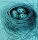 TAYLOR, Small Nest (blue), original SOLD but prints available