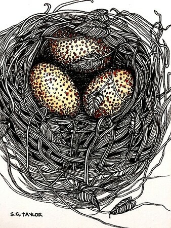 TAYLOR; ; Small Nest: Her Eggs Were Speckled; ink drawing on paper mounted on wooden cradle, finished with resin; 4" x 3" SOLD