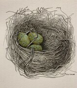 TAYLOR; Small Nest II, 4.5 x 4.5, framed 10 x 10, available at Art Gallery of Greater Victoria Small Works Exhibit, November, 2023 SOLD