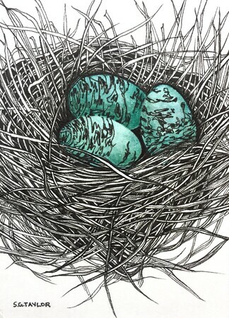 TAYLOR; ; Small Nest: She Built on a Windy Day; ink drawing on paper mounted on wooden cradle, finished with resin; 4" x 3" SOLD