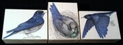 TAYLOR; The Bluebird Carries the Sky on His Back; ink drawing on paper, stained, mounted on wooden cradle, finished with resin; 3x4" x 3; COMMISSION