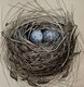 TAYLOR; There were Two Blue Eggs, ink, w/c on paper SOLD