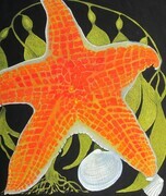 TAYLOR; Tidepool with Leather Star SOLD